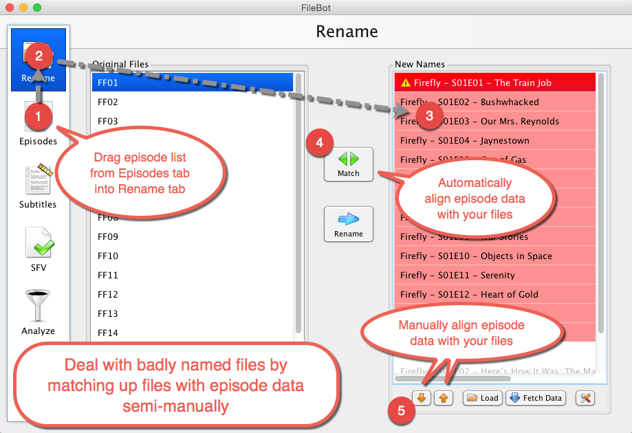 filebot-episodes.png