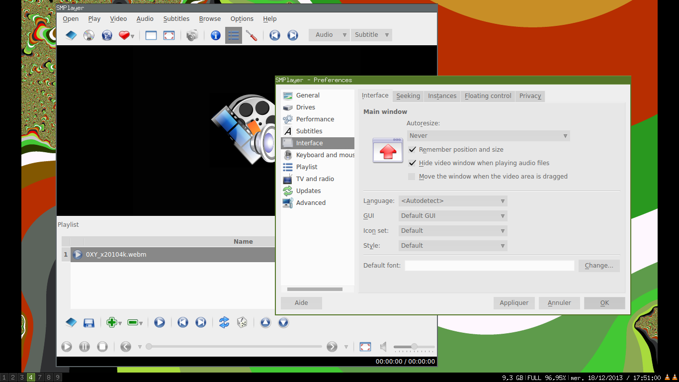 smplayer-interface-options.png