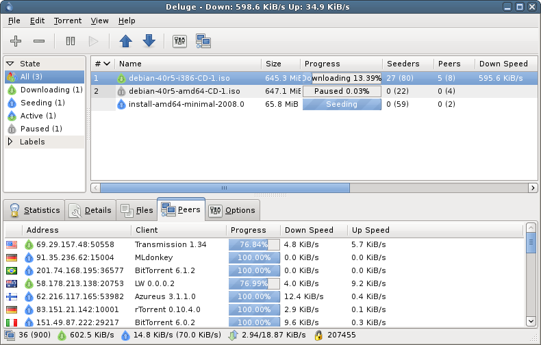 bittorrent-deluge-interface.png