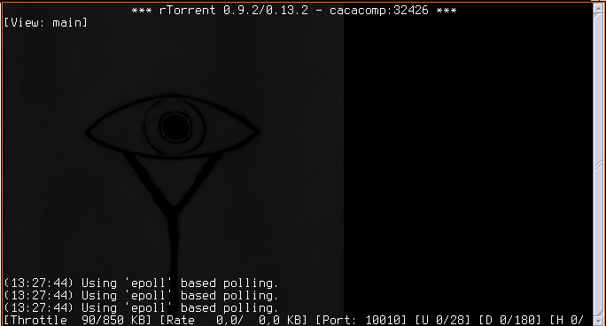 rtorrent-interface-vide.png
