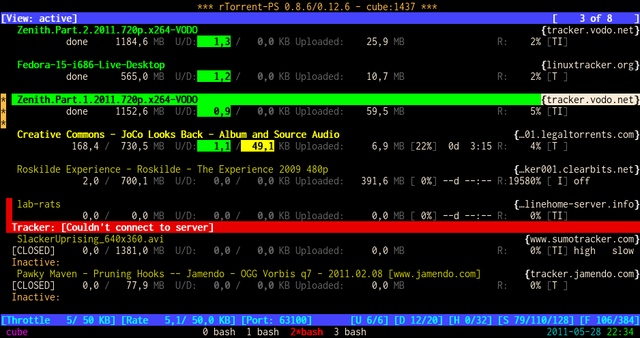 rtorrent_ps2.png